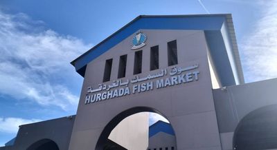 Rekapitulace č.3 Návrat z Asuánu do Luxoru na pouhou jednu noc, abychom přetrhli velkou vzdálenost potřebnou k cestě na letiště do Hurgha…