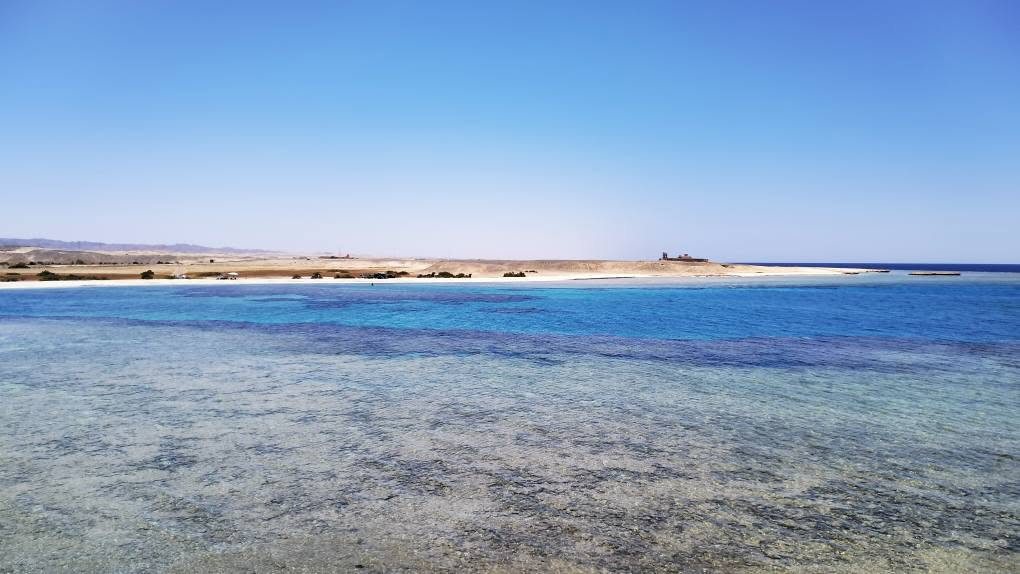 Útes u Marsa Alam