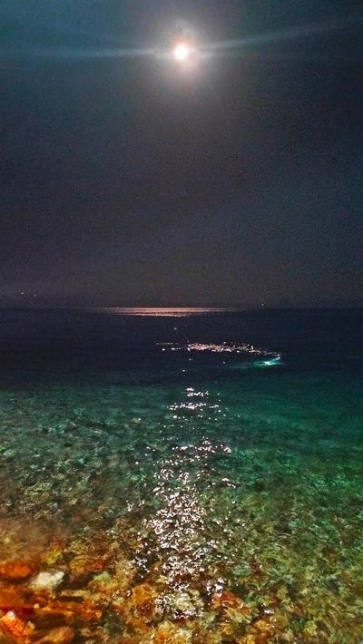 Tentokrát se fotky nekonají. Kochám se pod vodou a na to nemám aparaturu. Ještě že tak. Jinak by to tu bylo zabombardovaný tou nádherou. …
