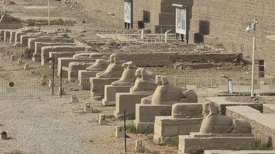 Tak jdeme na to...Luxor den prvni. Dny byly plné vjemů a zážitků, náhodně jsem vybrala část 🙈 fotek, hlavni hřeb programu...Karnak Templ…
