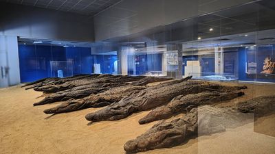 Je strašně těžký zpracovat zážitky, natož fotky z této poslední cesty... Jen nahrubo jsem sepsala hlavni místa, co jsme navštívili. Je z …